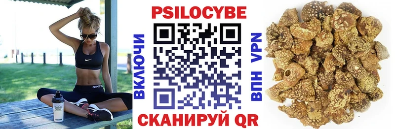KRAKEN ONION  Ноябрьск  Псилоцибиновые грибы прущие грибы 